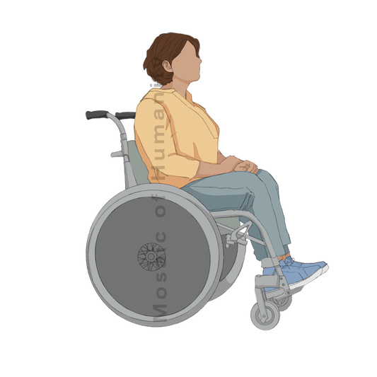 human with wheelchair